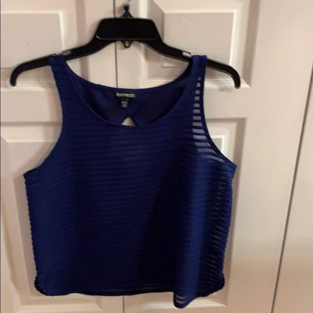 Express navy sleeveless sheer top